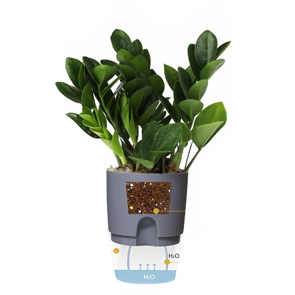 1706720b-2224-482e-8e03-f57c8bf81cba