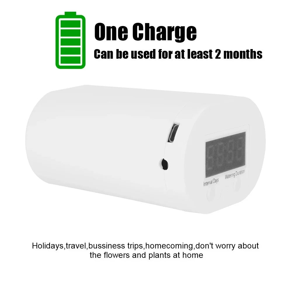 S63fe3f48546b4d878ed1c570c208d10ft