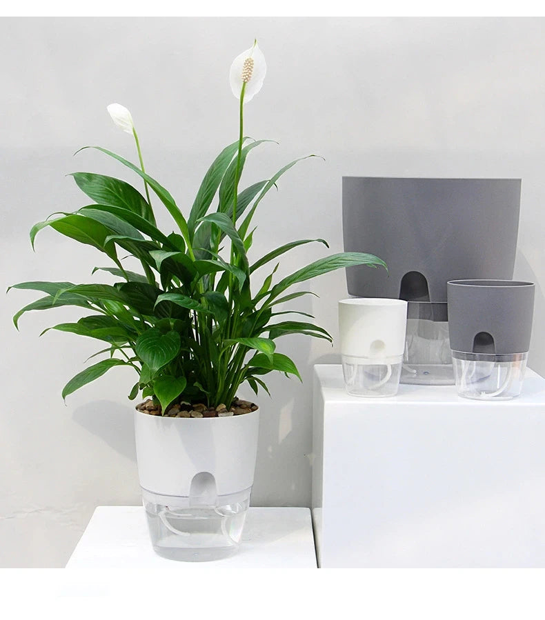 Sa27de07abacd43d5afc4e680ee719d75w